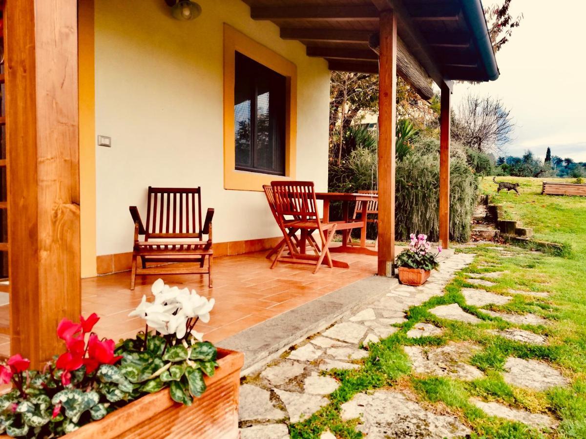 La Casa Nettarina Guest House Poggio Mirteto Luaran gambar