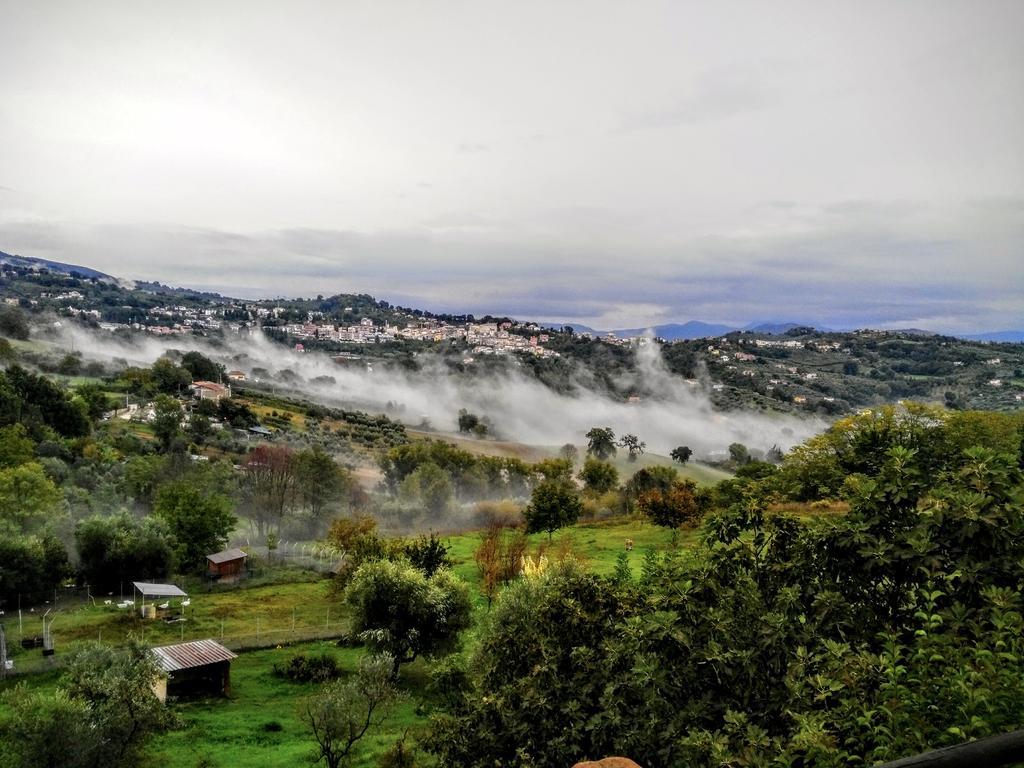 La Casa Nettarina Guest House Poggio Mirteto Luaran gambar